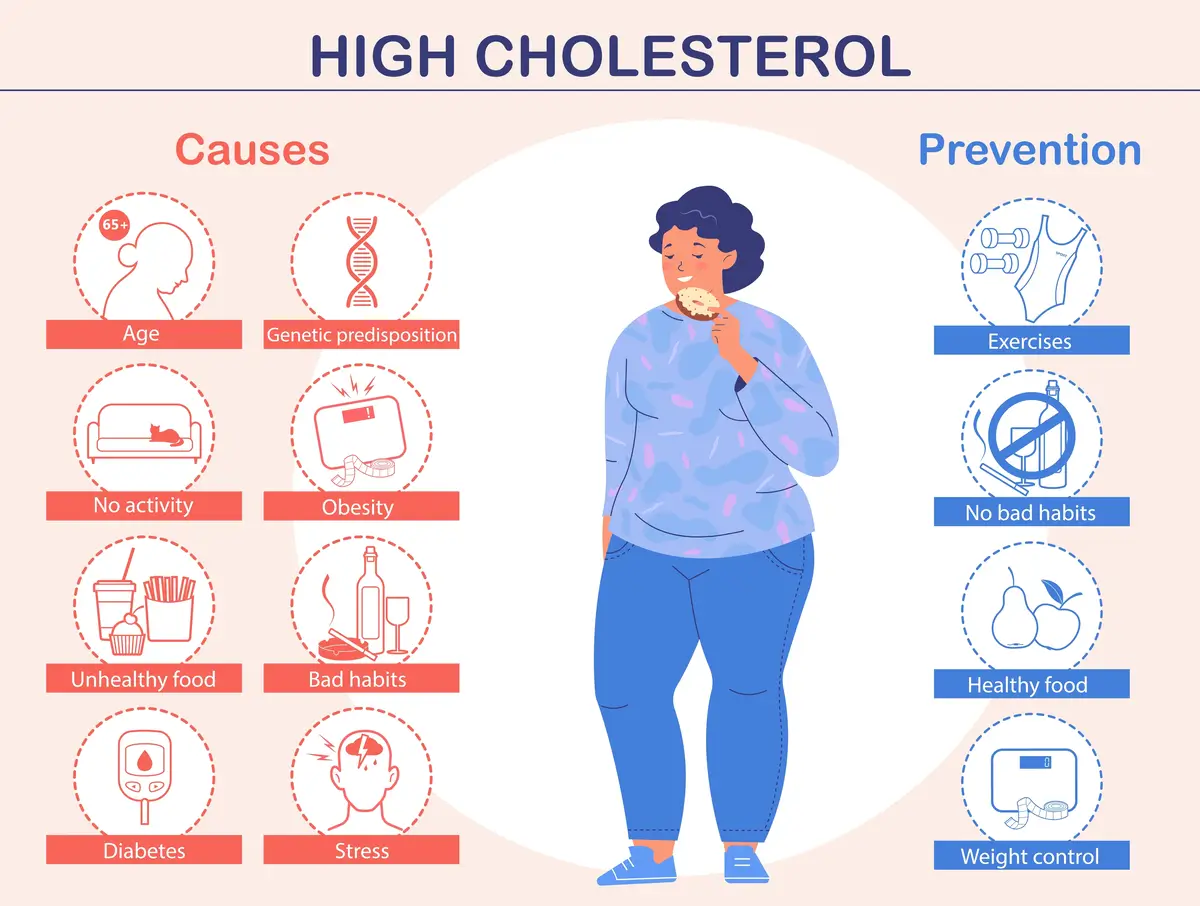 Causes of High Cholesterol | https://www.harleystreet.sg/