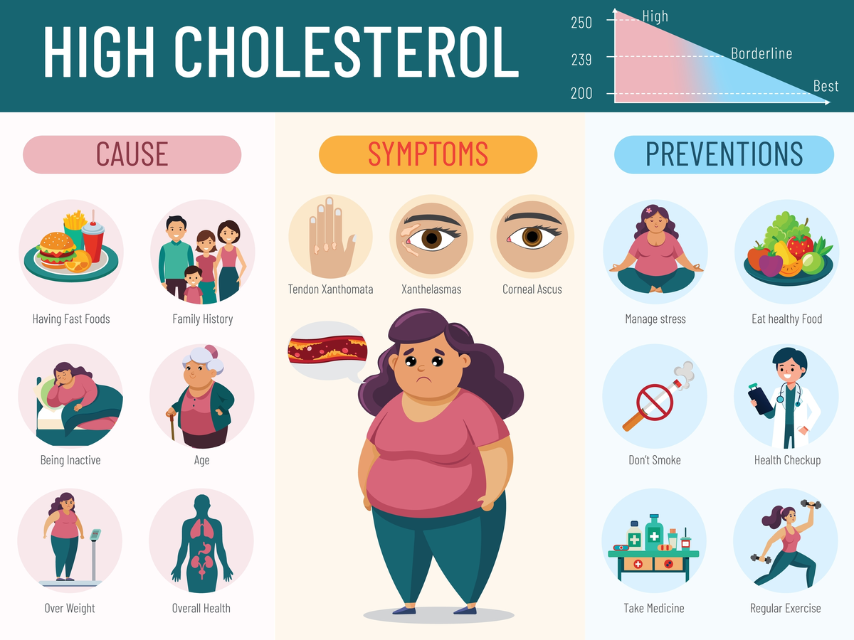 Lifestyle Modifications to Enhance Cholesterol Treatment | https://www.harleystreet.sg/