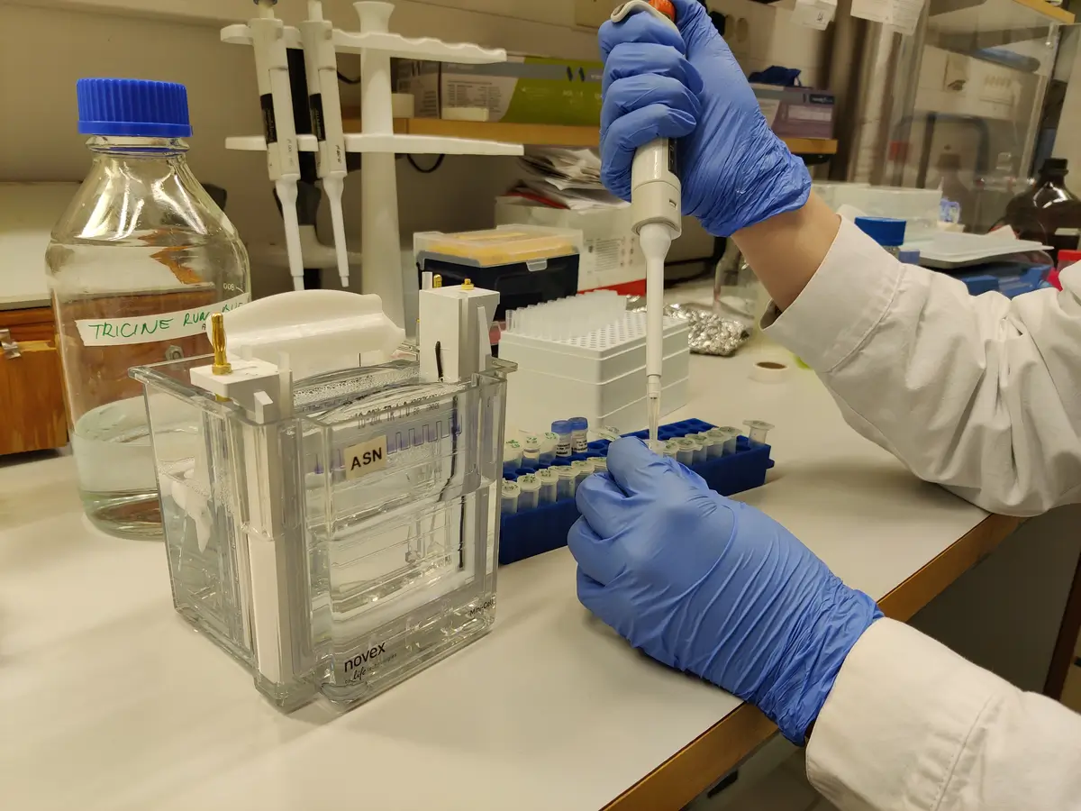 Understanding ApoB Test Results | https://www.harleystreet.sg/