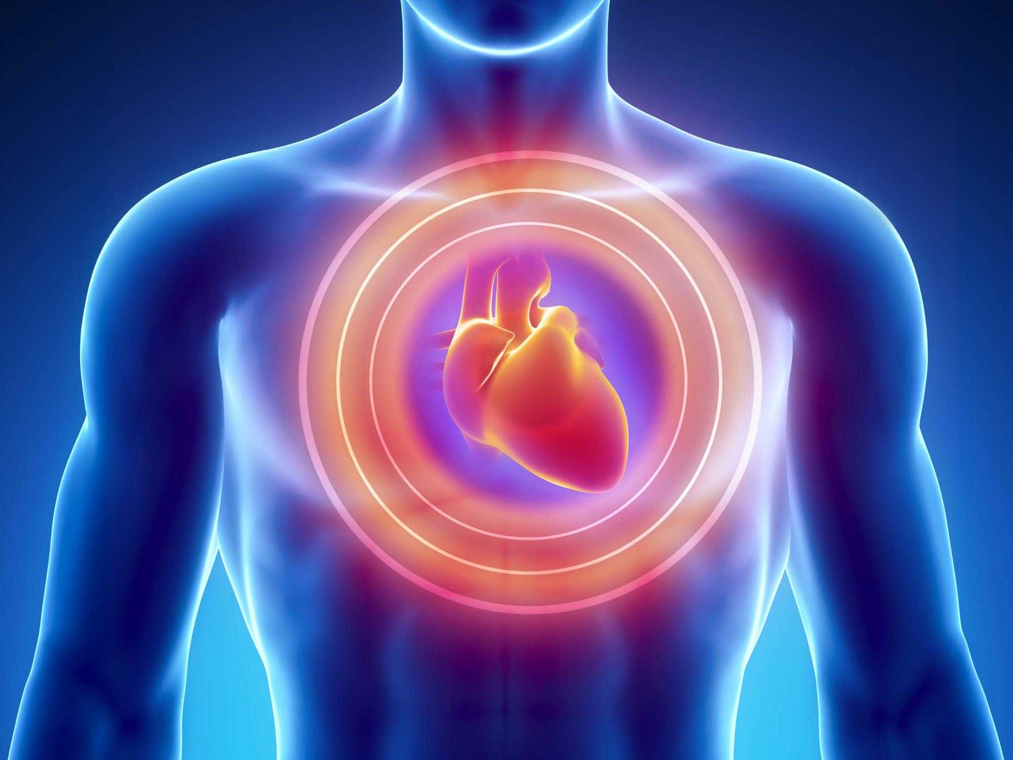  Regular Heart Health Checkups